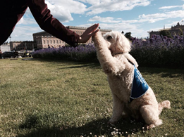 Livia-give-me-5-sthlm-slott.jpg