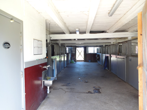 Stalldörren, Stora Stallet, med blick över gårdsplan och bostad 3 rok.
